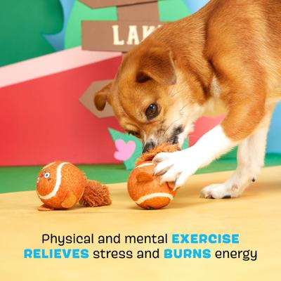 Show full view: BARK Double Trouble Squirrel Balls Squeaky Plush Dog Toys, Brown, Small slide 3 of 9