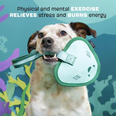 Show full view: BARK Flingray Dog Tug Toy, Teal, Large slide 3 of 7