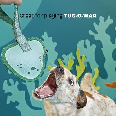 Show full view: BARK Flingray Dog Tug Toy, Teal, Medium slide 5 of 9