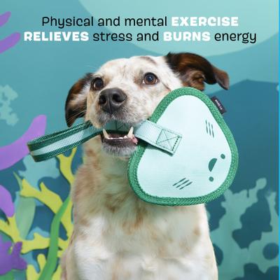 Show full view: BARK Flingray Dog Tug Toy, Teal, Medium slide 4 of 9