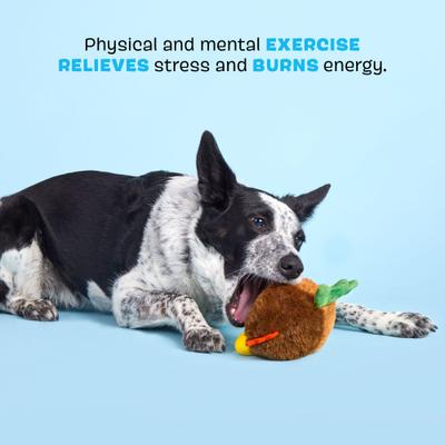 Show full view: BARK Fowl Play 2-in-1 Plush Exterior with Hard Core Tough Treat Dispensing Dog Chew Toy, Brown slide 4 of 9