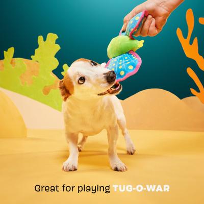 Show full view: BARK Freddy Flying Fish Squeaky Plush Dog Toy slide 4 of 9