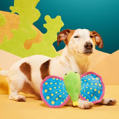 Show full view: BARK Freddy Flying Fish Squeaky Plush Dog Toy slide 6 of 9