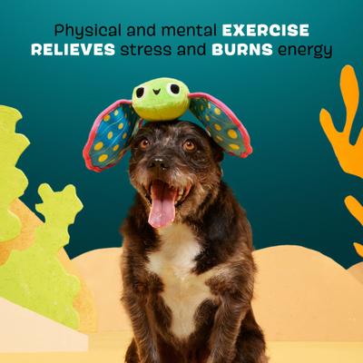 Show full view: BARK Freddy Flying Fish Squeaky Plush Dog Toy slide 3 of 9