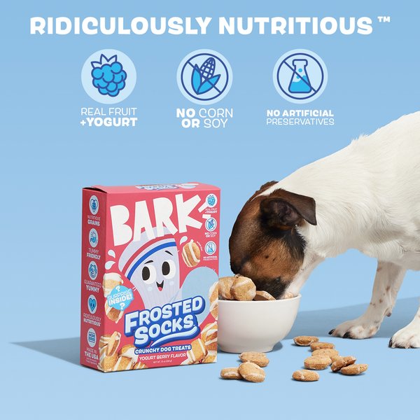 BARK Frosted Socks Yogurt Berry Flavored Crunchy Dog Treats