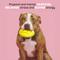 Show in main carousel: BARK GO Mango Tough Dog Chew Toy, Yellow, Large slide 3 of 9