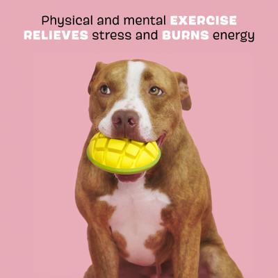 Show full view: BARK GO Mango Tough Dog Chew Toy, Yellow, Large slide 3 of 9