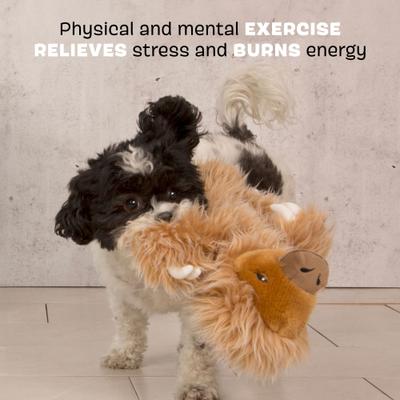 Show full view: BARK Gordon the Giant Sloth Squeaky Plush Dog Toy, Brown slide 4 of 9