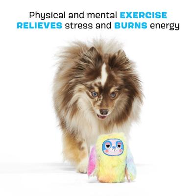 Show full view: BARK Grateful Ted Hard Core Tough Dog Chew Toy, Medium slide 3 of 8