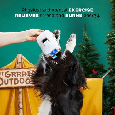 Show full view: BARK Hairstream Trailer Squeaky Plush Dog Toy slide 3 of 7