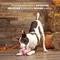 Show in main carousel: BARK Hambone 2-in-1 Plush Exterior with Hard Core Tough Treat Dispensing Dog Chew Toy, Pink slide 3 of 7