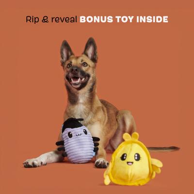 Show full view: BARK Hasina the Hissing Cockroach Rip & Reveal Squeaky Plush Dog Toy, Medium slide 4 of 9