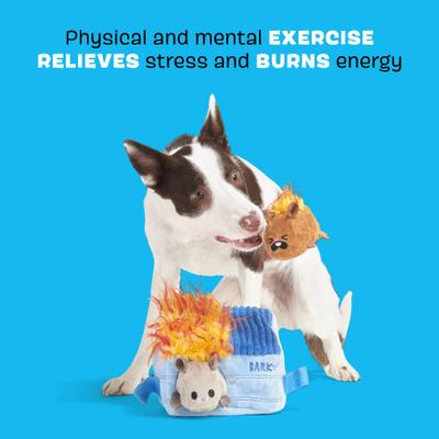 Show full view: BARK Hide n' Squeak Dumpster Fire Multi-Part Squeaky Plush Dog Toy, Medium slide 4 of 10