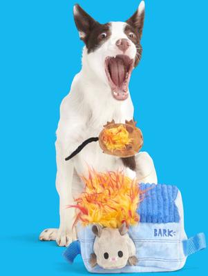 Show full view: BARK Hide n' Squeak Dumpster Fire Multi-Part Squeaky Plush Dog Toy, Medium slide 7 of 10