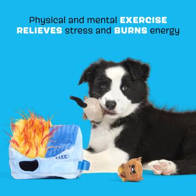 Show full view: BARK Hide n' Squeak Dumpster Fire Multi-Part Squeaky Plush Dog Toy, X-Small slide 3 of 8