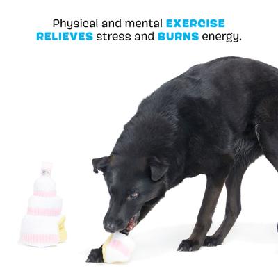 Show full view: BARK Holy Ratrimony Wedding Cake & Slice Multi-Part Squeaky Plush Dog Toy, Medium/Large slide 3 of 8