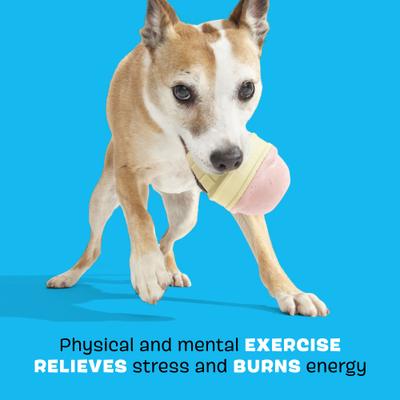 Show full view: BARK I-Squeak Cone Tough Dog Chew Toy, Pink, Large slide 4 of 9