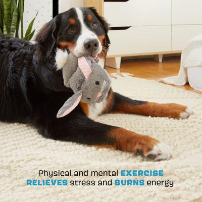 Show full view: BARK Itty & Bitty The Bunny Slippers 2-in-1 Squeaky Plush Dog Toy slide 3 of 8