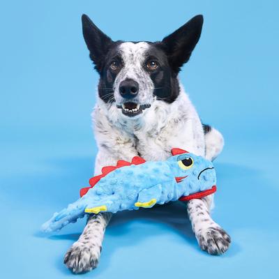 Show full view: BARK Izzy Lizzy Squeaky Plush Dog Toy, Blue, Small slide 6 of 8