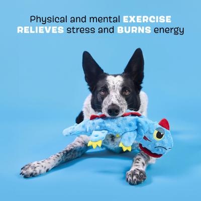 Show full view: BARK Izzy Lizzy Squeaky Plush Dog Toy, Blue, Small slide 3 of 8