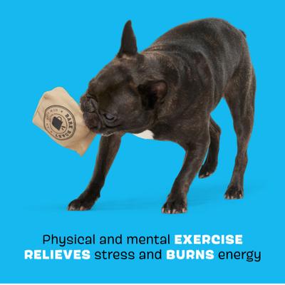 Show full view: BARK Jitter Pug Coffee Bean Hard Core Tough Dog Chew Toy, Brown, Medium slide 3 of 9