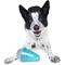 Show in main carousel: BARK Lava Champ Tough Treat Dispensing Dog Chew Toy, Blue, Medium slide 7 of 10