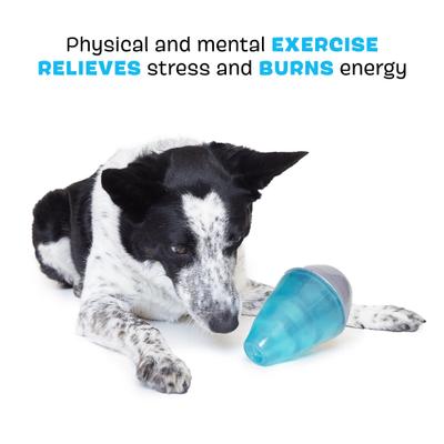 Show full view: BARK Lava Champ Tough Treat Dispensing Dog Chew Toy, Blue, Medium slide 4 of 10