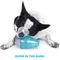 Show in main carousel: BARK Lava Champ Tough Treat Dispensing Dog Chew Toy, Blue, Medium slide 5 of 10