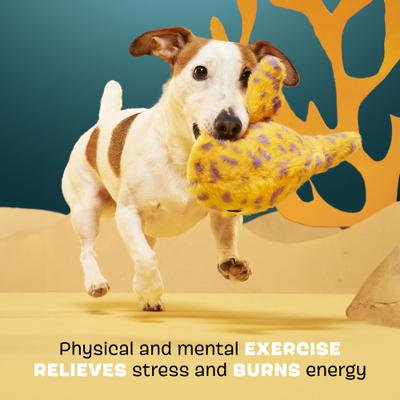 Show full view: BARK Leopold Leopard Shark Multi-Part Squeaky Plush Dog Toy, Orange, Medium slide 3 of 8