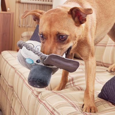 Show full view: BARK Licka K9 Camera Squeaky Plush Dog Toy, Small/Medium slide 4 of 8