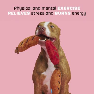 Show full view: BARK Lickin' Links Thrasher Squeaky Plush Dog Toy, Red, Medium slide 3 of 9