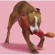 Show in main carousel: BARK Lickin' Links Thrasher Squeaky Plush Dog Toy, Red, Medium slide 6 of 9