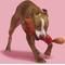 Show in main carousel: BARK Lickin' Links Thrasher Squeaky Plush Dog Toy, Red, Medium slide 6 of 9
