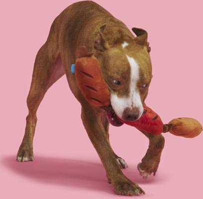 Show full view: BARK Lickin' Links Thrasher Squeaky Plush Dog Toy, Red, Medium slide 6 of 9