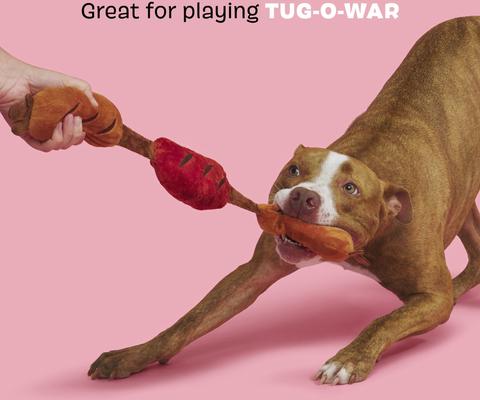 Show full view: BARK Lickin' Links Thrasher Squeaky Plush Dog Toy, Red, Medium slide 4 of 9