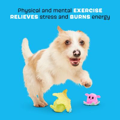 Show full view: BARK Lil Squirts Multi-Part Squeaky Plush Dog Toy, Small slide 3 of 8