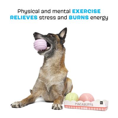 Show full view: BARK Macaruffs Multi-Part Tough Plush Dog Toy, Medium slide 4 of 10