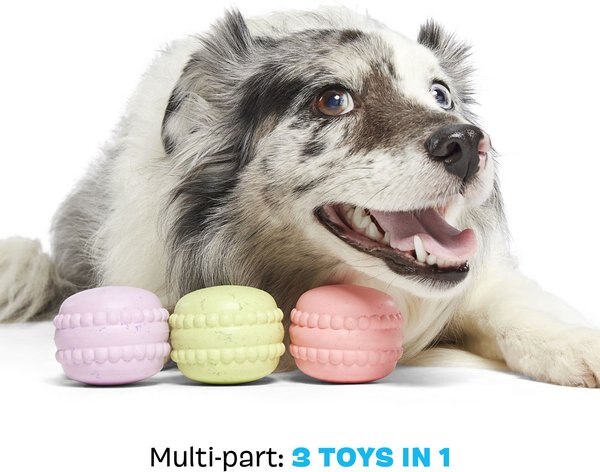 BARK Macaruffs Multi-Part Tough Plush Dog Toy