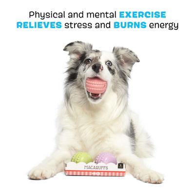 Show full view: BARK Macaruffs Multi-Part Tough Plush Dog Toy, Small slide 4 of 9