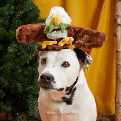 Show full view: BARK Majestic Marty Squeaky Plush Dog Toy, Brown, Small slide 6 of 9