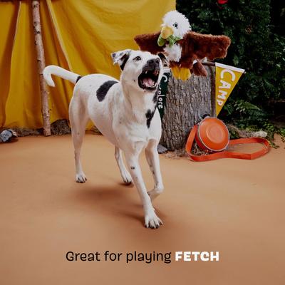 Show full view: BARK Majestic Marty Squeaky Plush Dog Toy, Brown, Small slide 4 of 9