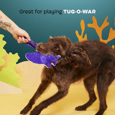 Show full view: BARK Manny Ray Squeaky Dog Tug Toy, White slide 4 of 9