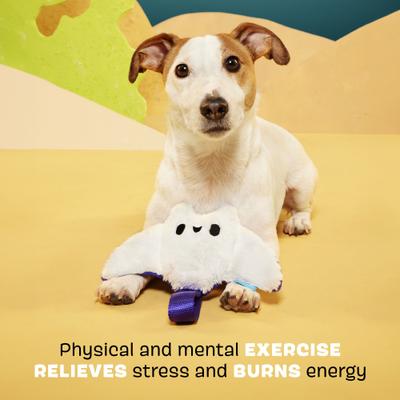 Show full view: BARK Manny Ray Squeaky Dog Tug Toy, White slide 3 of 9