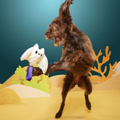 Show full view: BARK Manny Ray Squeaky Dog Tug Toy, White slide 6 of 9