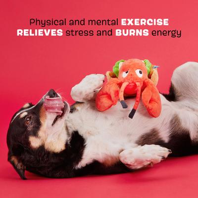 Show full view: BARK Max's Maine Lobster Roll Squeaky Plush Dog Toy, White slide 3 of 8