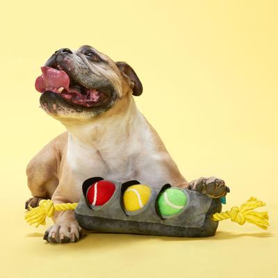 Show full view: BARK Means Go Rope Squeaky Plush Dog Tug Toy, Grey, Medium slide 7 of 10