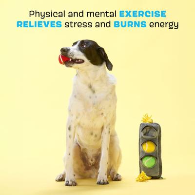 Show full view: BARK Means Go Rope Squeaky Plush Dog Tug Toy, Grey, Medium slide 4 of 10