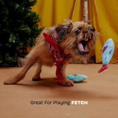 Show full view: BARK Mike & Mike The Trout Twins Crinkle Squeaky Plush Dog Toy slide 5 of 9