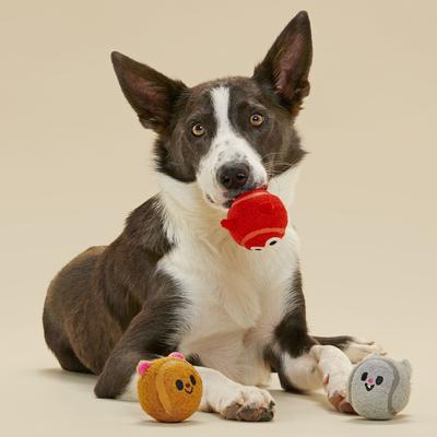 Show full view: BARK Moderate Beastie Balls Squeaky Plush Dog Toys, Medium slide 6 of 9