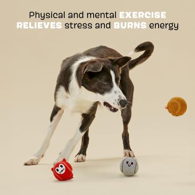 Show full view: BARK Moderate Beastie Balls Squeaky Plush Dog Toys, Medium slide 3 of 9